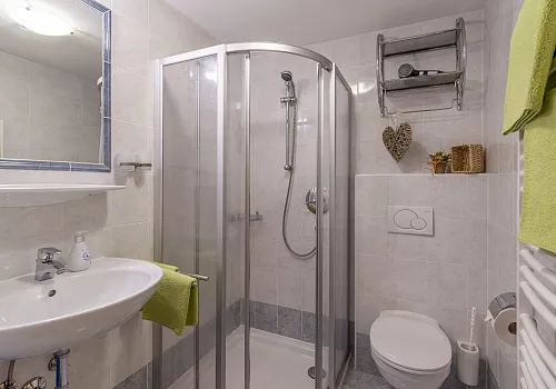 haus_tiefenbach_dorfstrasse_64_brixen_06_2021_appartement_choralpe_badezimmer.jpg